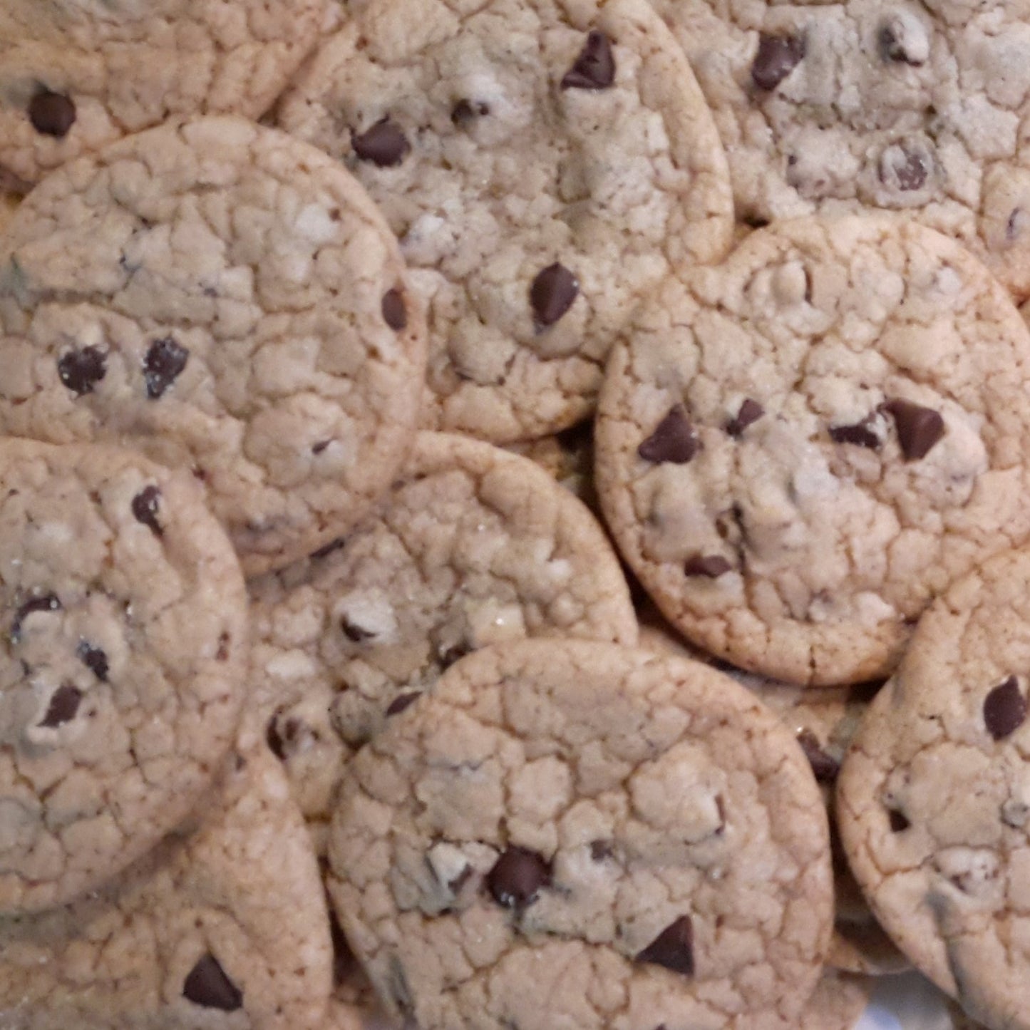 Chocolate Chip Sea Salt Cookies - 12 Count